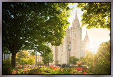 Load image into Gallery viewer, Salt Lake - The Lord is My Light