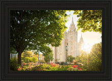 Load image into Gallery viewer, Salt Lake - The Lord is My Light