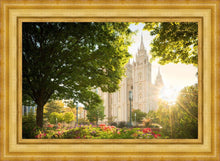 Load image into Gallery viewer, Salt Lake - The Lord is My Light