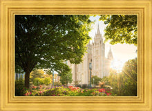 Load image into Gallery viewer, Salt Lake - The Lord is My Light