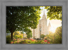 Load image into Gallery viewer, Salt Lake - The Lord is My Light