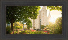 Load image into Gallery viewer, Salt Lake - The Lord is My Light