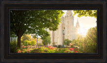 Load image into Gallery viewer, Salt Lake - The Lord is My Light