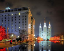 Load image into Gallery viewer, Temple Square Reflecting Pool