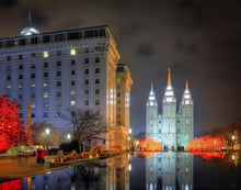 Load image into Gallery viewer, Temple Square Reflecting Pool