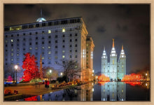 Load image into Gallery viewer, Temple Square Reflecting Pool