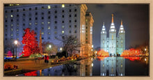 Load image into Gallery viewer, Temple Square Reflecting Pool
