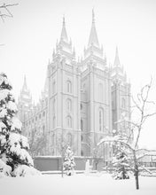Load image into Gallery viewer, Salt Lake City High Key Snow