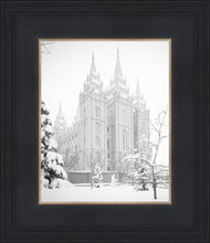 Load image into Gallery viewer, Salt Lake City High Key Snow
