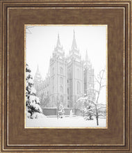 Load image into Gallery viewer, Salt Lake City High Key Snow