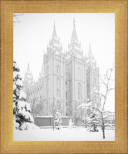 Load image into Gallery viewer, Salt Lake City High Key Snow