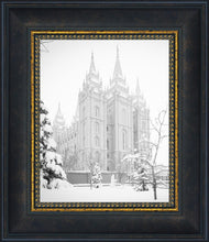 Load image into Gallery viewer, Salt Lake City High Key Snow