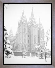 Load image into Gallery viewer, Salt Lake City High Key Snow