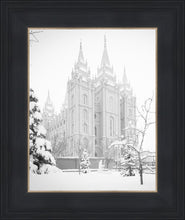 Load image into Gallery viewer, Salt Lake City High Key Snow