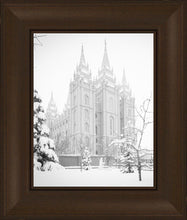 Load image into Gallery viewer, Salt Lake City High Key Snow