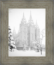 Load image into Gallery viewer, Salt Lake City High Key Snow