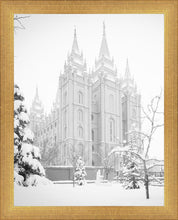 Load image into Gallery viewer, Salt Lake City High Key Snow
