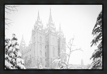 Load image into Gallery viewer, Salt Lake City High Key Snow