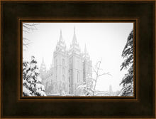 Load image into Gallery viewer, Salt Lake City High Key Snow