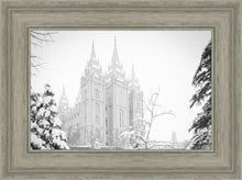 Load image into Gallery viewer, Salt Lake City High Key Snow
