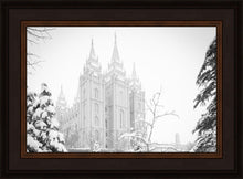 Load image into Gallery viewer, Salt Lake City High Key Snow