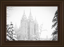 Load image into Gallery viewer, Salt Lake City High Key Snow