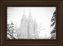 Load image into Gallery viewer, Salt Lake City High Key Snow