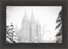 Load image into Gallery viewer, Salt Lake City High Key Snow