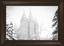 Load image into Gallery viewer, Salt Lake City High Key Snow