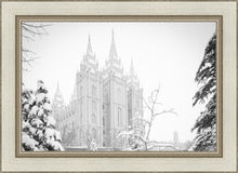 Load image into Gallery viewer, Salt Lake City High Key Snow
