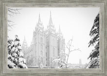 Load image into Gallery viewer, Salt Lake City High Key Snow