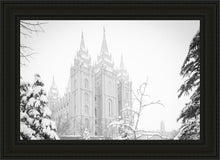 Load image into Gallery viewer, Salt Lake City High Key Snow
