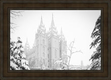 Load image into Gallery viewer, Salt Lake City High Key Snow