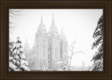 Load image into Gallery viewer, Salt Lake City High Key Snow