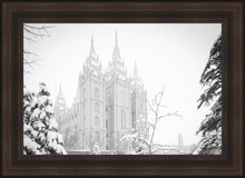 Load image into Gallery viewer, Salt Lake City High Key Snow