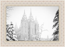 Load image into Gallery viewer, Salt Lake City High Key Snow