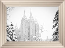 Load image into Gallery viewer, Salt Lake City High Key Snow