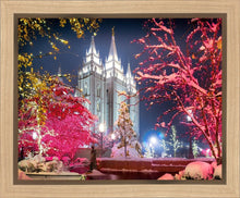 Load image into Gallery viewer, Salt Lake City Christmas Lights
