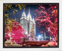 Load image into Gallery viewer, Salt Lake City Christmas Lights