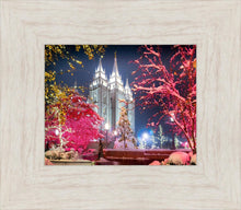 Load image into Gallery viewer, Salt Lake City Christmas Lights