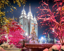 Load image into Gallery viewer, Salt Lake City Christmas Lights