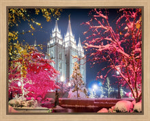Load image into Gallery viewer, Salt Lake City Christmas Lights