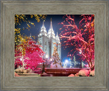 Load image into Gallery viewer, Salt Lake City Christmas Lights