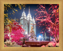 Load image into Gallery viewer, Salt Lake City Christmas Lights