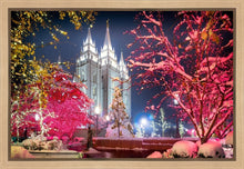Load image into Gallery viewer, Salt Lake City Christmas Lights