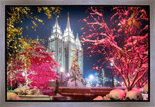 Load image into Gallery viewer, Salt Lake City Christmas Lights