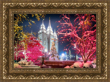 Load image into Gallery viewer, Salt Lake City Christmas Lights
