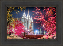 Load image into Gallery viewer, Salt Lake City Christmas Lights