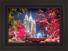 Load image into Gallery viewer, Salt Lake City Christmas Lights