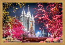 Load image into Gallery viewer, Salt Lake City Christmas Lights